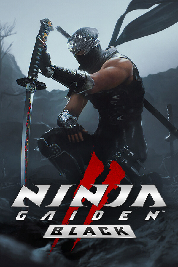 [忍者龙剑传2：黑之章]NINJA GAIDEN 2 Black v1.005